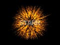 STARR // Contest [For XxSonnyDaltonXx] OPEN!!