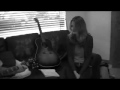 SCARS written by Raymond Hackland - featuring Amy Belle and Alan Frew