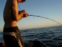 willies one that got away
