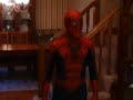 Spiderman Costume