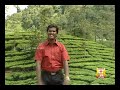 Naan Umakku