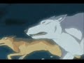 Wolf\ Wolf\