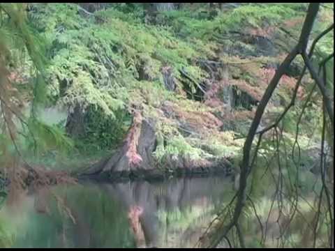 Healing Waters: In the Light of Love