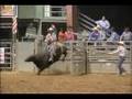 Bull Riding Part 15