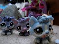 LPS welcome to a magical world of wolves and cougars part 1 ( A pup is born )