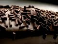 Gansito Animation 1