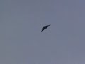 Horten von Heiner Horten von Heiner