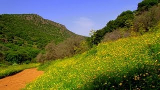 أجمل البلدان فلسطين- وادي الحنداج السفلي -الجليل الأعلى الشرقي رحلة لا تفوت أجمل البلدان فلسطين- وادي الحنداج السفلي -الجليل الأعلى الشرقي رحلة لا تفوت