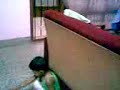 Video062.3gp