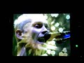 Die �rzte -  (Ich ess) Blumen ( �rzte statt B�ller )