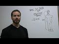 BMI - Calculating your BMI (Body Mass Index)