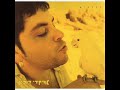 היא לא דומה - ארקדי דוכין