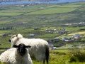 Voyage en irlande à moto