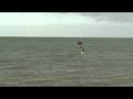 videos de 123kite now ..