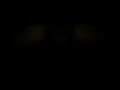 My fart video:attempt #2