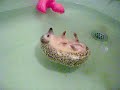 Thumbnail #3