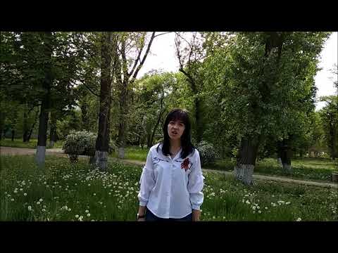 YouTube Трейлер