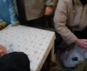 festa dell\