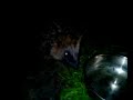 Ein Igel zu Besuch Ein Igel zu Besuch
