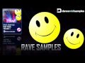 DMS Rave Samples - Stabs, Synths & Hits for producers!