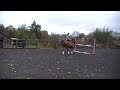 Josie Cottam Chambers Blackwater Buck single jump.MOD