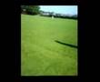 Ken Doe Memorial Game - Fawley CC