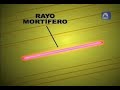 el origen de super ñoño