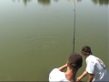 Video screenshot