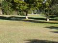 2008 PDGA Players Cup Disc Golf Video (2)