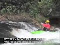 Coyo mystery in the hole at Kaituna ????????