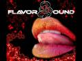 FlavorSound -Elecro Mix