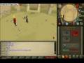 runescape digiflame maxing