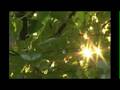 videos de a gathering in the woods