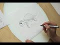 How to draw a sea turtle