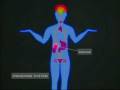 videos de Mind Over Matter Show #9 Part 2.divx