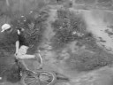 TFD on the road: Ronse - Trailer