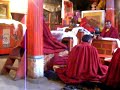 Puja in Shamar Rimpoche monastery