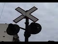 tren fx