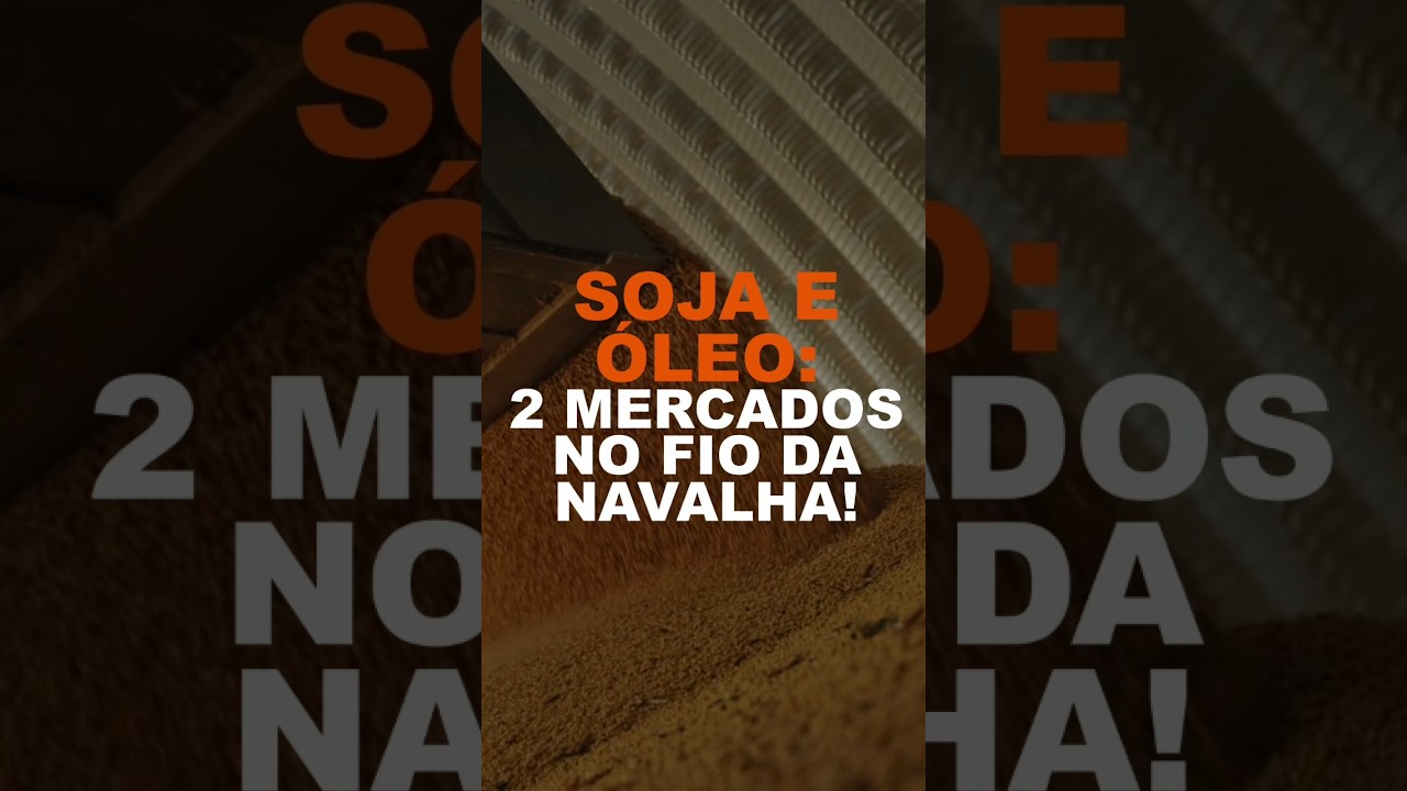 SOJA E ÓLEO: DOIS MERCADOS NO FIO DA NAVALHA!