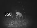 Scoutguard 550 & Moultrie I40 Scoutguard 550 & Moultrie I40