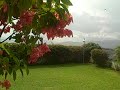 Raindrops --In the land of Wood and Water