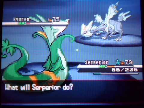 how to kyurem in pokemon black