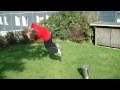 Jakob & Jim Parkour / Freerunning 2011