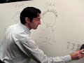 Margin calls and the financial markets decline Margin calls and the financial markets decline