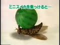 Pet Fly Pet Fly