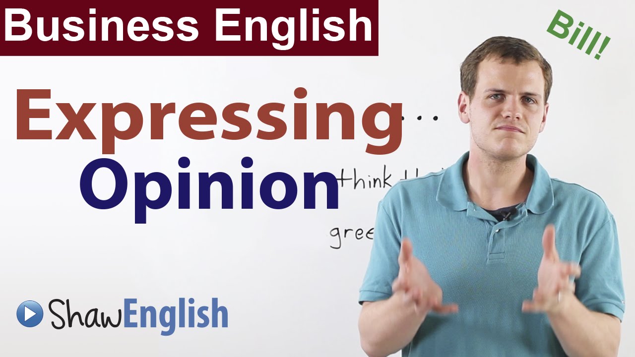 Business English Expressing Opinion business English