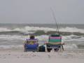 New Smyrna Beach, Fl