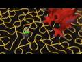 [RS]` funning jad- fooling around`5th cape