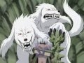 kiba vs sakon vs ukon
