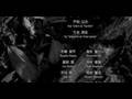 Ace Combat Zero - closing credits